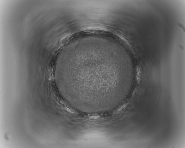 X0000099290965200805301108