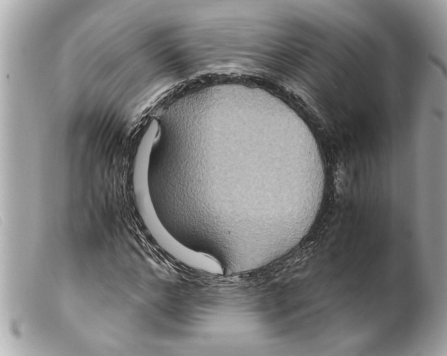 X0000099290968200805301108