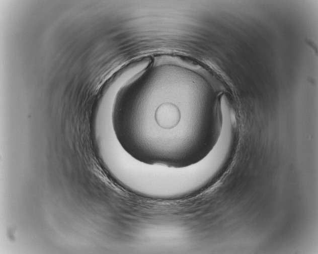X0000099290969200805301108