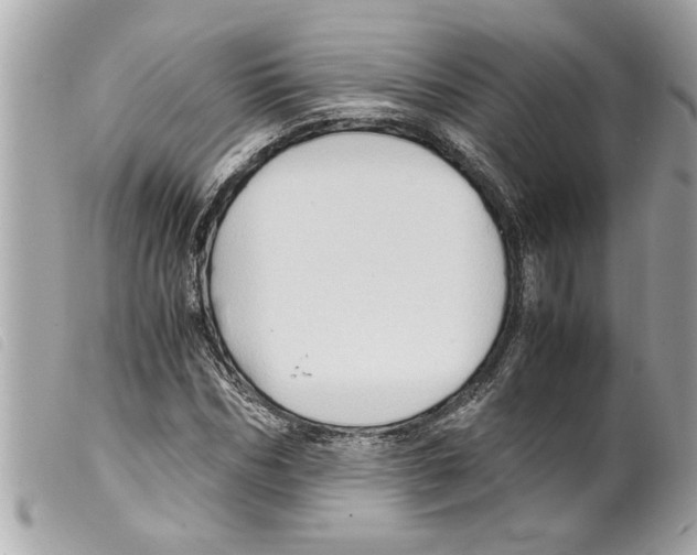 X0000099290970200805301108