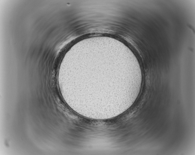 X0000099290971200805301108