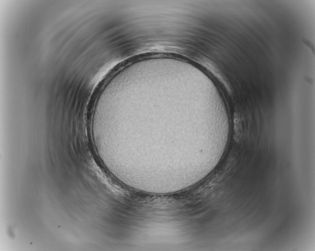 X0000099290972200805301108
