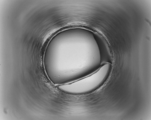X0000099290973200805301108