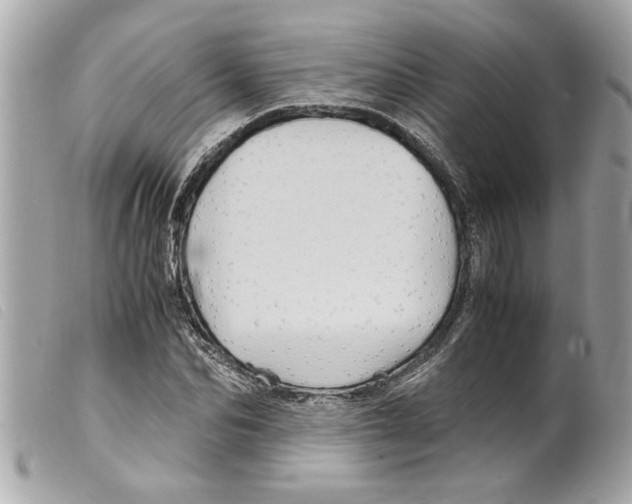 X0000099290974200805301108