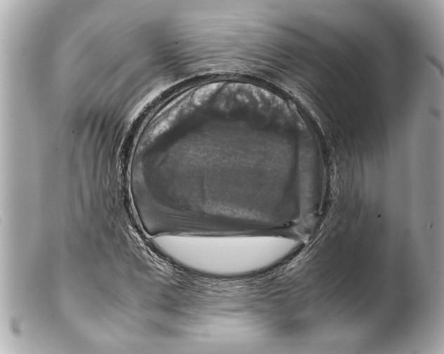 X0000099290975200805301108