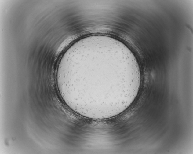 X0000099290978200805301108