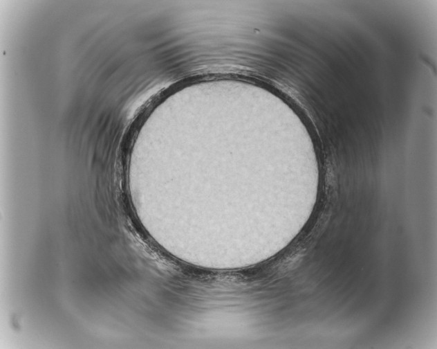 X0000099290979200805301108