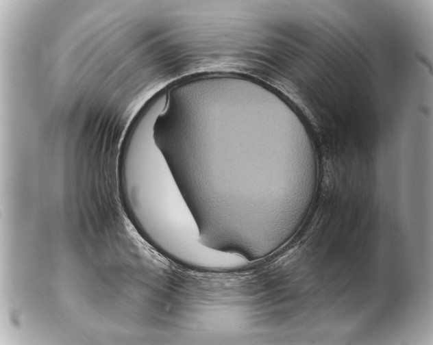 X0000099290980200805301108