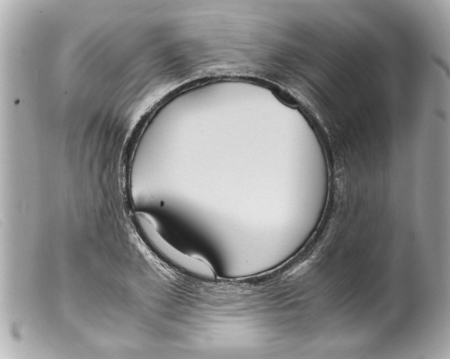 X0000099290981200805301108
