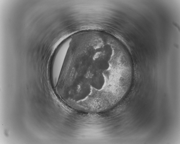 X0000099290983200805301108
