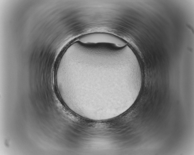 X0000099290984200805301108