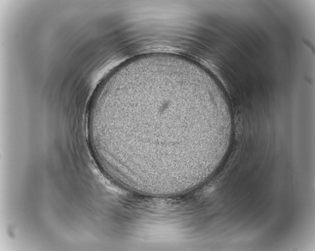 X0000099290987200805301108