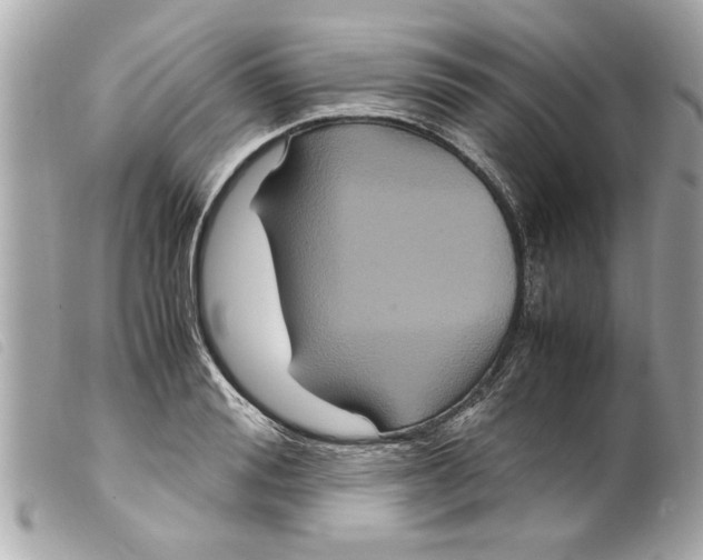 X0000099290988200805301108