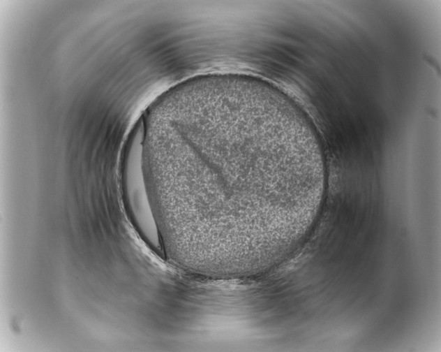 X0000099290990200805301108