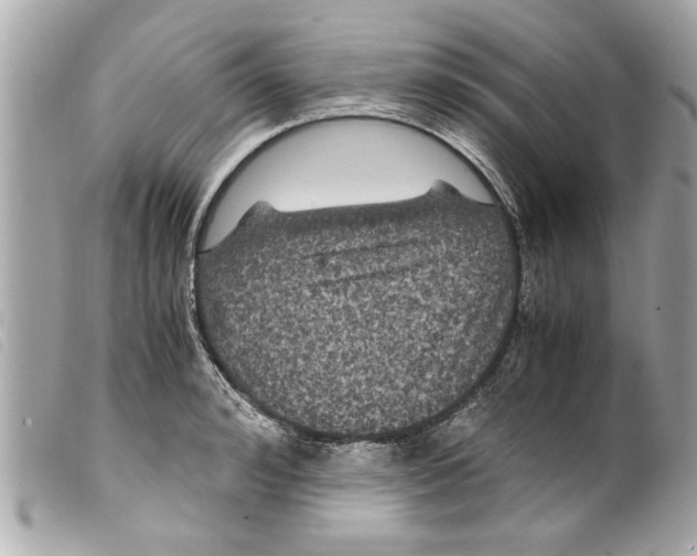 X0000099290992200805301108