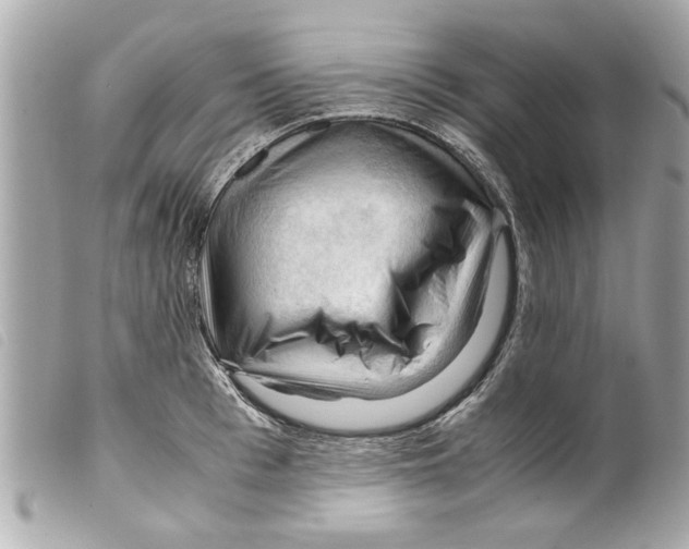 X0000099290993200805301108