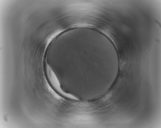 X0000099290995200805301108