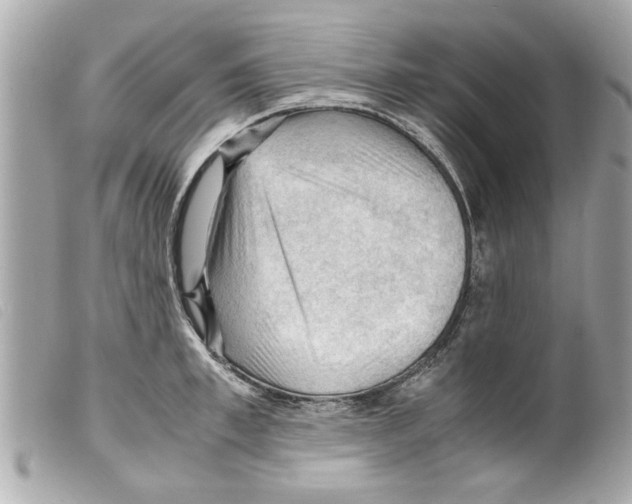 X0000099290997200805301108