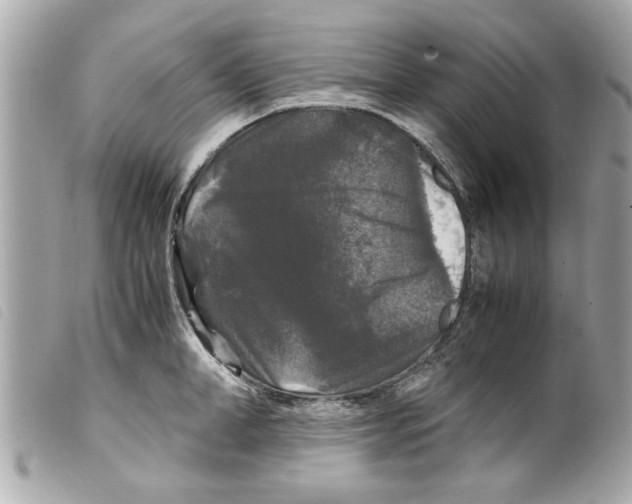 X0000099290998200805301107
