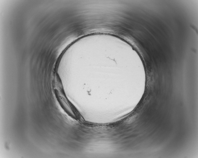 X0000099290999200805301107