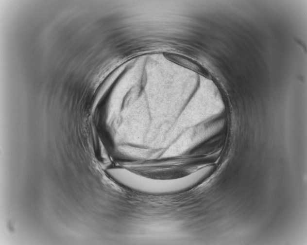 X0000099291001200805301107