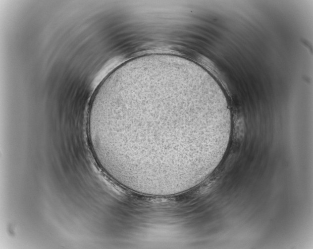 X0000099291002200805301107