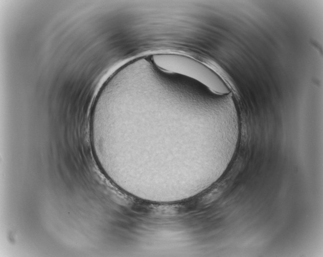 X0000099291004200805301107