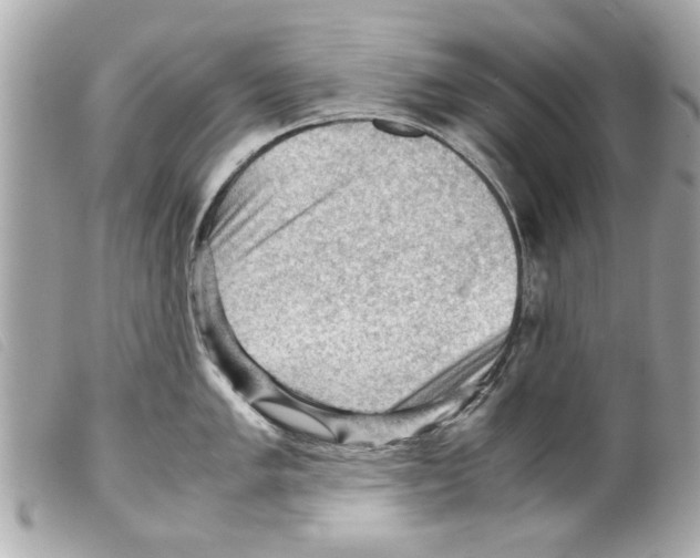 X0000099291005200805301107