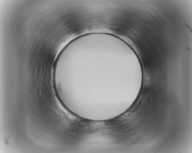 X0000099291006200805301107