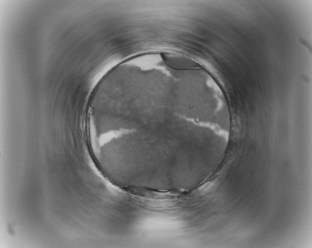 X0000099291007200805301107
