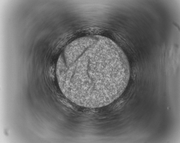 X0000099291010200805301107