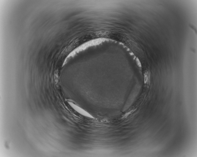 X0000099291011200805301107