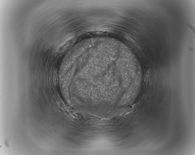X0000099291014200805301107