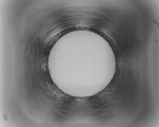 X0000099291015200805301107