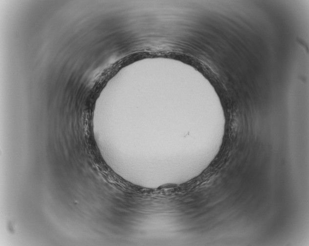 X0000099291016200805301107