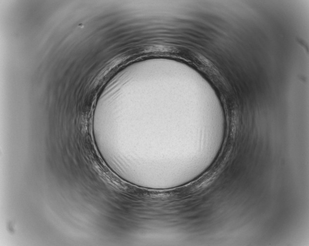 X0000099291017200805301107