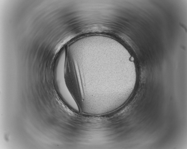 X0000099291018200805301107