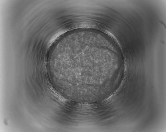 X0000099291019200805301107