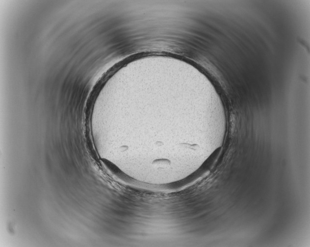 X0000099291020200805301107