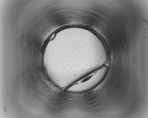 X0000099291021200805301107