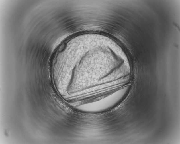 X0000099291022200805301107