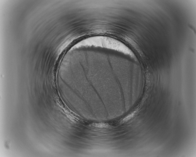 X0000099291023200805301107