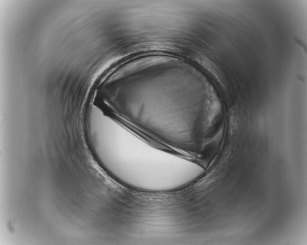 X0000099291024200805301107
