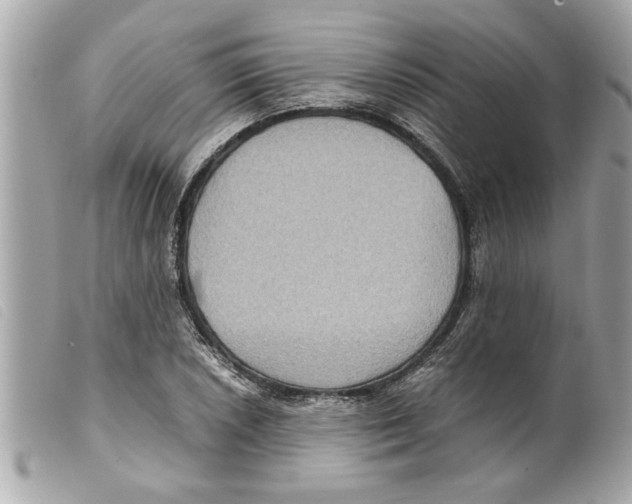 X0000099291026200805301107