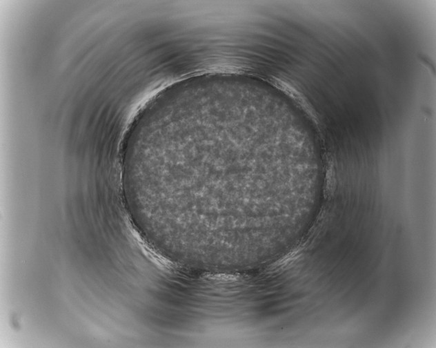 X0000099291027200805301107