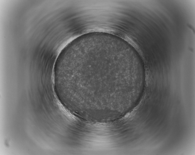 X0000099291028200805301107