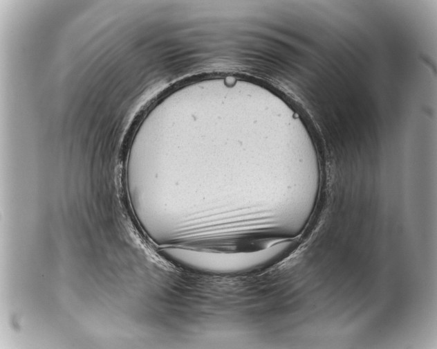 X0000099291029200805301107