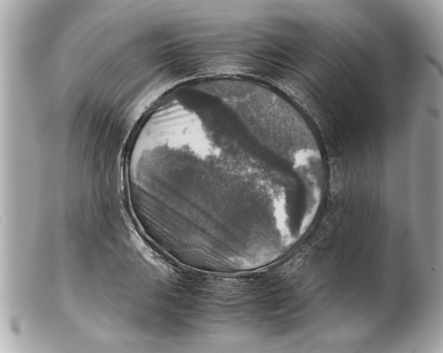 X0000099291031200805301107