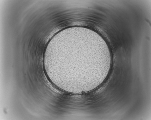 X0000099291033200805301107
