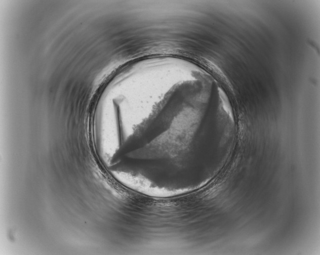 X0000099291035200805301107